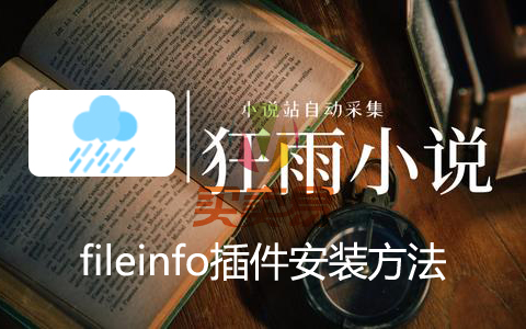 狂雨小说CMS网站fileinfo插件安装方法